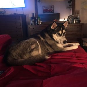 Meet your Posher, Irem